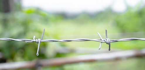 Steel barbed wires on nature backdrop. Human rights and social justice abstract concept with blurry...