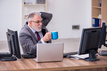Old male boss sitting at desktop in the office