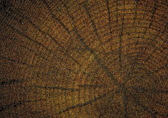Fototapeta premium Abstract Texture Background , Pattern Backdrop of Gradient Wallpaper
