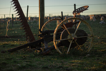 old harvester in a farm at sunset