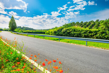 Countryside asphalt road and green tea plantations with mountain natural scenery in Hangzhou on a sunny day.