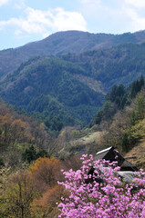 山里の春