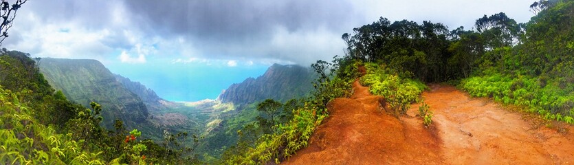 Naklejka premium Kauai Hawaii