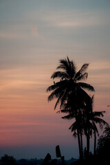 Obraz premium Sunset sky at a local Thai paddy field 