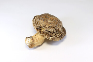 Dried shiitake mushrooms