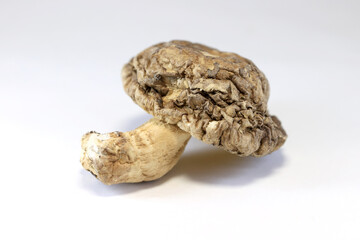 Dried shiitake mushrooms
