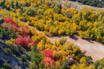 Obraz premium Aerial sunny view of beautiful fall color around Brian Head area