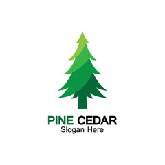 Cedar tree logo template vector icon design