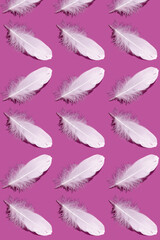 Abstract pattern. Repetition of white feather on bright pink background. Textured background of bird feathers lying in a row. Abstract geometric pink background. Art photo concept.