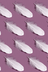 Abstract pattern. Repeating white feather on a pink background. Textured background of bird feathers lying in a row. Abstract geometric pink background. Toning. Art photo concept.