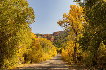 Sunny view of beautiful fall color around Parowan Canyon