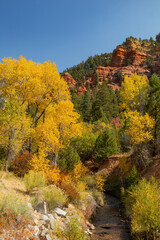Sunny view of beautiful fall color around Parowan Canyon