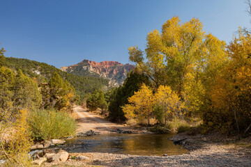 Obraz premium Sunny view of beautiful fall color around Parowan Canyon