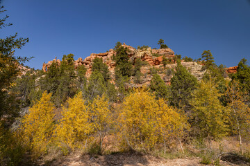 Sunny view of beautiful fall color around Parowan Canyon