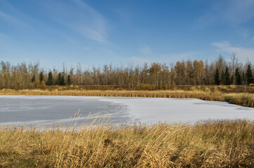 Pylypow on a Cold Autumn Day