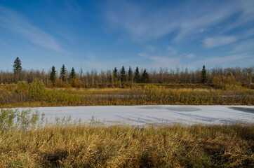 Pylypow on a Cold Autumn Day