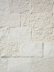 Muro con recubrimiento decorativo  en color blanco iluminado a la luz del medio día 3