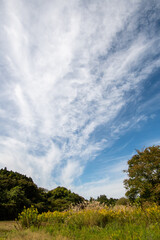 秋の雲風に流れ