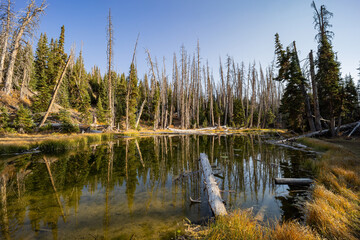 Obraz premium Afternoon sunny view of the Alpine Pond