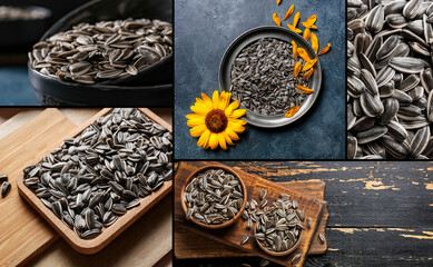 Collage of photos with sunflower seeds