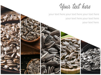 Collage with sunflower seeds and place for text
