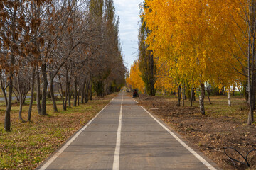 Autumn path in the Park. Replacing the lighting on the right. People far away
