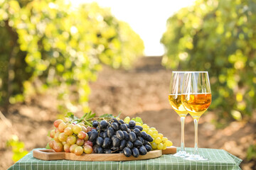 Glasses of wine and ripe grapes on table in vineyard