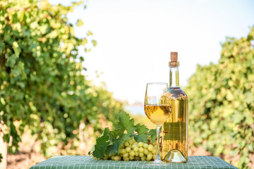 Tasty wine and ripe grapes on table in vineyard