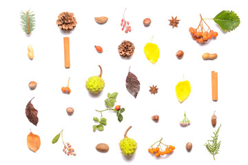 Beautiful autumn composition on white background