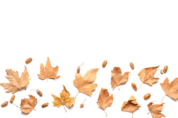 Beautiful autumn composition on white background