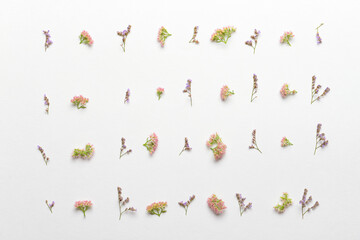 Beautiful autumn composition on white background