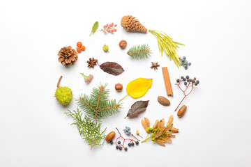 Beautiful autumn composition on white background