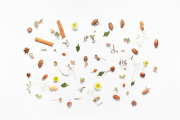 Beautiful autumn composition on white background