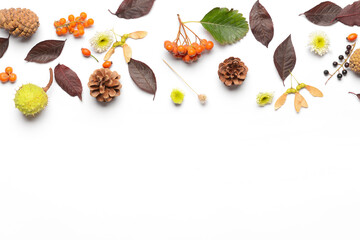Beautiful autumn composition on white background