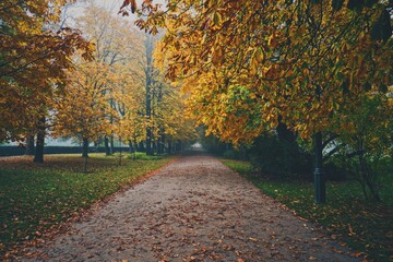 Foggy Autumn Morning in Warsaw 