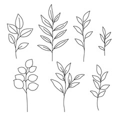 One line drawing. Plant stems with leaves. Hand drawn sketch. Vector illustration.