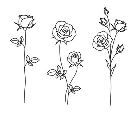 One line drawing. Garden rose with leaves. Hand drawn sketch. Set of flowers. Vector illustration. - obrazy, fototapety, plakaty