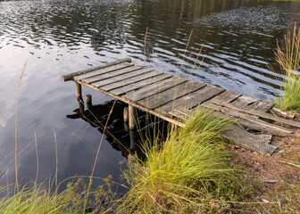 remains of old wooden footbridges on the lake shore, pine forest on the lake shore, swamp...