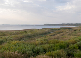 Fototapeta na wymiar autumn view of the lake, foreground of the lake meadow