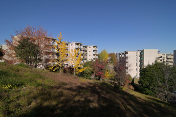 Obraz premium 千里ニュータウン古江台（大阪府吹田市）の府営千古江台住宅