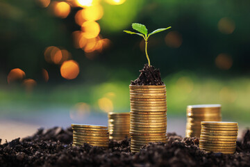 Investment ideas for success
Coins and small trees on the ground outdoor nature blurred background - obrazy, fototapety, plakaty