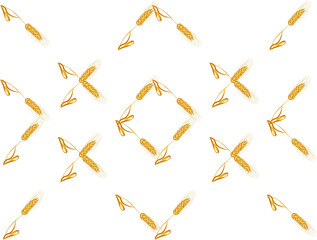 Obraz premium a stalk with an ear of wheat on a white background isolated. pattern of spikelets that make up the pattern. 