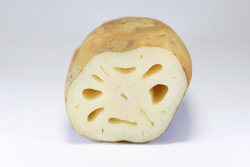 Cross section of lotus root