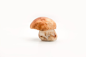 Beautiful fresh porcini mushrooms  on white background isolated season healthy food 