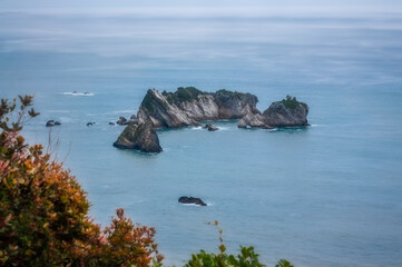 View of beautiful sea stacks in the Tasman Sea from Knights Point Lookout on Haast Highway on the West Coast of New Zealand's South Island.