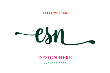 ESN lettering logo is simple, easy to understand and authoritative