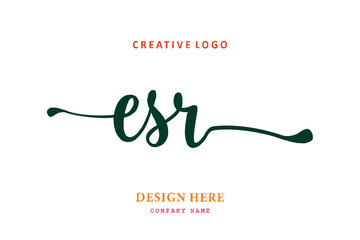 ESR lettering logo is simple, easy to understand and authoritative