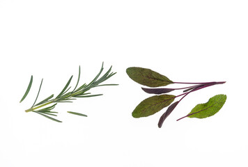 Obraz premium fresh rosemary and sage leaves isolated on white background with copy space above