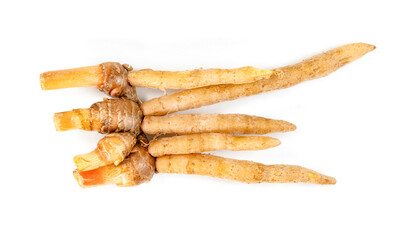 finger root or Chinese's Ginger isolated on the white background.