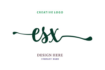 ESX lettering logo is simple, easy to understand and authoritative